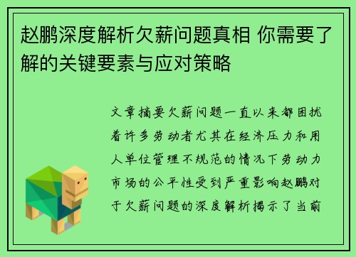 赵鹏深度解析欠薪问题真相 你需要了解的关键要素与应对策略